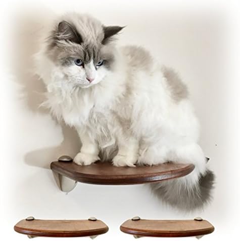 Lunar Floating Cat Wall Shelf 12" (2pc set) by Purrfectly Catastic - Handcrafted space saving cat climbing wall mounted activity tree shelves furniture - Choice of wood & bracket finish