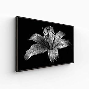 Canvas Wall Art for Living Room, Bedroom Monochrome Plants Framed Canvas Prints for Home Decoration Ready to Hang - 16x24 inches
