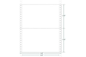 THE BUSINESS FORM SUPPLIES SHOP 9-1/2" x 5-1/2" (W x H) Continuous 20# Computer Paper, Blank (Carton of 4800)