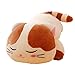 TOWSIX Soft Cat Animal Pillow Cute Big Hugging Pillow Stuffed Kitten Throw Pillow Baby Kids Sleeping Pillow Kitty Stuffed Toy Cuddle Stuffed Animal Gift for Adult Girlfriend 23.5? (Brown)