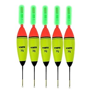Qualyqualy Lot De 5 20 G 30g Eva Schwimmt + 10stück Poissons-glühen-nuit Lumière étage-longue Verticale Éclairage Flottant Bobber De Pêche De Jeu De