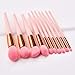 Makeup Brushes, ITME Premium Professional Makeup Brush Set,10PCS Synthetic Makeup Brushes For Foundation Blending Blush Powder Blush Concealers Eye Shadows Brushes (Pink Gold)