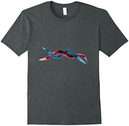 Mens Science Mind: C. elegans/C. briggsae Double Helix T-Shirt Small Dark Heather
