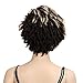 QUEEN VIRGIN REMY QVR Short Wigs for Black Women Ombre Pixie Cuts Hair Wigs Synthetic Dreadlock Wigs for Women Heat Resistant Fiber Hair Wig Color (DYTD4/BLONDE)
