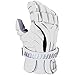 WARRIOR 2017 Evo Gloves