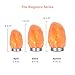 Levoit Aurora Salt Lamp, Himalayan / Hymilain Sea Salt Lamps, Pink Large Salt Rock Lamp, Night Light, 18/8 Stainless Steel Base, Dimmable Touch Switch, Luxury Gift Box (ETL Certified, 2 Extra Bulbs)