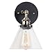 Light Society Cruz Wall Sconce, Clear Glass Shade with Antique Brass Finish, Vintage Modern Industrial Farmhouse Lighting Fixture (LS-W129)