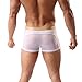 Laxier 4-Pack Men Boxer Briefs Shorts Soft Underpants See-Through Underwear Sexy Trunks for Men