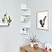 WELLAND Large 10 x 10 Inches 5 Tiers Corner Wall Shelf, White