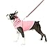 Gooby Fleece Vest Hoodie Dog Sweater - Pink, Small - Warm Pullover Dog Hoodie with O-Ring Leash for Small to Medium Dogs
