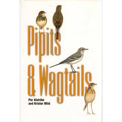 Pipits and Wagtails.