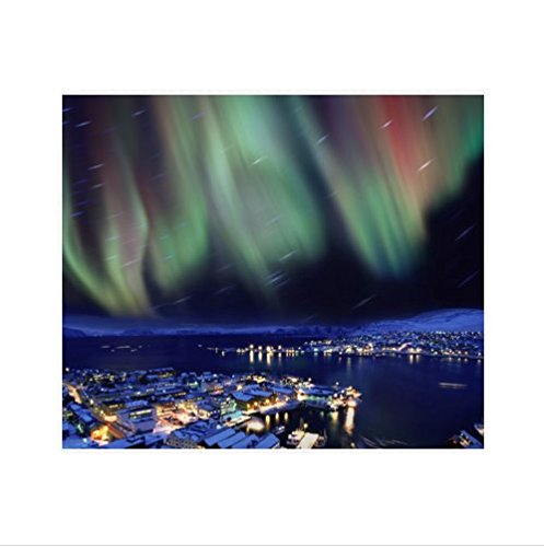 Amazon メガネ拭き 可愛い 写真 イラスト クリーナークロス メガネ