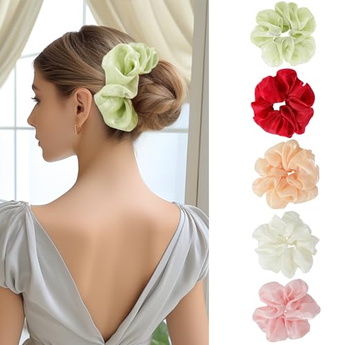 Lolalet Hair Scrunchies, Soft Organza Elastic Hair Bands for Women Girls, 5 Pack - Style B, Red, Pink, Green, Champagne, Cream, Suitable for Thick, Fine & Curly Hair
