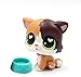 LPSOLD LPS Shorthair Cat 5 Heart Eyes Kitty Kitten with Accessories Action Cartoon Figure Collection Boy Girl Kid Gift (lps cat 5)