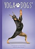 Image de Yoga Dogs Deck and Book Set