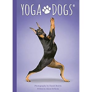 Yoga Dogs Deck and Book Set