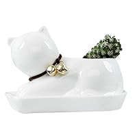 GeLive Cat Succulent Planter Decorative Flower Pot Mini Ceramic Grass Planter Plant Pots Box with Tray Saucer (White Cat)