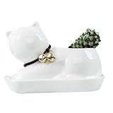 GeLive Cat Succulent Planter Decorative Flower Pot Mini Ceramic Grass Planter Plant Pots Box with Tray Saucer White Cat