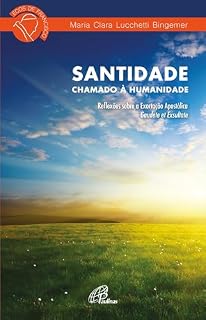 Livro Santidade: chamado à humanidade: Reflexões sobre a Exortação Apostólica Gaudete et Exsultate (Ecos de Francisco)