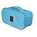 Evtech(tm) Portable Travel Drawer Dividers Closet Organizers Bra Underwear Storage Bag