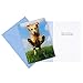 Hallmark Shoebox Funny Birthday Card Assortment (8 Cards with Envelopes) (2199RZG1003)