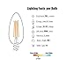 8-Pack SUNMEG 6W LED Filament Bulb Dimmable, Candelabra LED E12 Base, 2700K Warm White, 360 Degree Beam Angle, Equivalent to 60W Incandescent