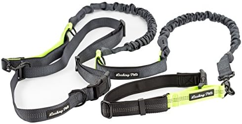 Hands Free Dog Leash for Runner Walking Jogging Hiking,Matching Dog collar- Reflective Stitching (Fits up to 49" waist,150lbs large dogs) (Grey &amp; Green Soft Padded Handle)
