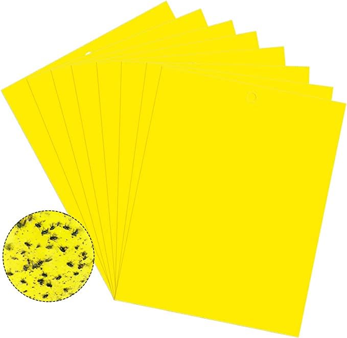 Pack of 20 sticky traps, yellow sticky papers for whiteflies, fight fungus gnats, yellow panels for fungus gnats against small flies in potting soil