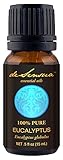 Eucalyptus Essential Oil of 100% Proven Purity for Professional Aromatherapists (for Home Use, see Warnings) Derived Wholly from the Eucalyptus Tree. Half Ounce (15 ml)