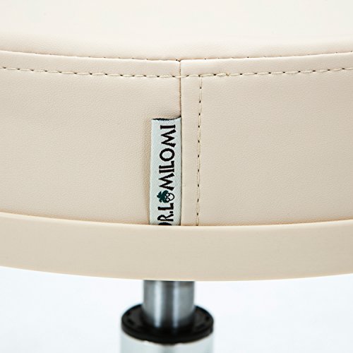 Dr.lomilomi Hydraulic Swivel Stationary Clinic Spa Massage Stool Chair with Foot Rest 509 (509-With Footrest/With Glide, Vanilla)
