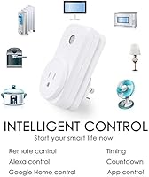 linganzh smart plug google home