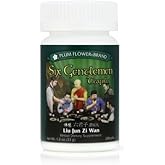 Six Gentlemen Teapills (Liu Jun Zi Wan)