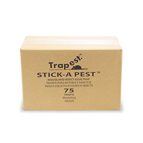 StickaPest Glue Bug Traps 75 pack Insects, Spiders, Scorpions