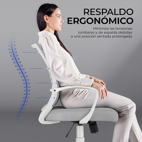 Yaheetch Conjunto de 2 Cadeiras de Escritório Função Inclinável Cinzento Claro
