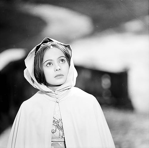 Drei Haselnüsse für Aschenbrödel - Neue HD-Restaurierung (Filmjuwelen / DEFA-Märchen) [DVD]