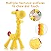 Baby Teether with Finger Toothbrush - 3 in Pack - 1x Silicone Infant Training Giraffe Teether Toy + 2X Finger Toothbrushes with Storage Case
