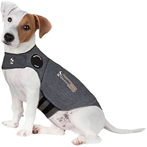 dog calming vest