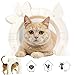 Slowton Cat Door, Pet Door for Cats Interior Door 2 Way Kitty Hole Shape Pass Fits Hollow Core Glass Solid Door for Cats up to 21lbs, Hidden Litter Box in Basement Laundry Room Easy to Install