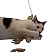 Feline Be Mine Cat Toy - Collection in Box Cat Wand Pet Activity 7 Piece Cat Nip Toys
