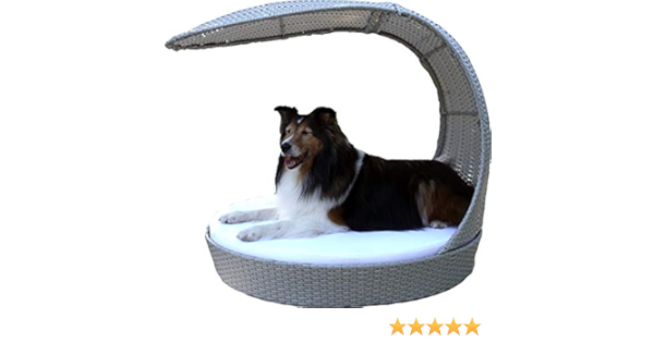 outdoor patio dog bed