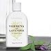 Crabtree & Evelyn Body Lotion, Verbena and Lavender de Provence, 8.5 Fl Oz