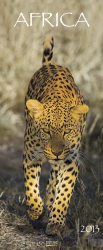 Africa 2013. PhotoArt Vertical by 