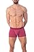 Obviously - Downtown - AnatoMAX Boxer Brief 3 inch Leg (Large, Red Brick)