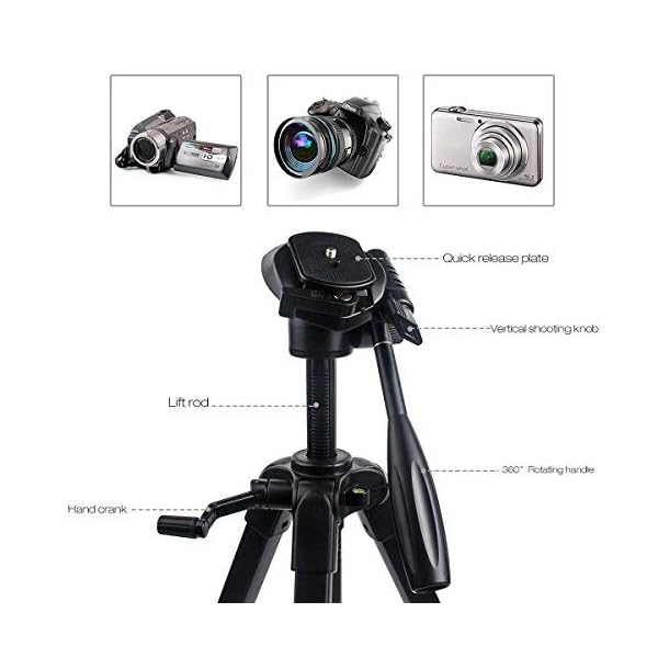 Kamera Stativ 58 Zoll Portable Professionelle Leichtgewicht Traveller Aluminium Stativ mit Pan Kopf für Kamera DSLR DV… – Bild 5