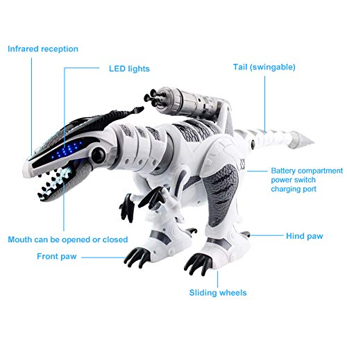 DX DA XIN Remote Control Dinosaur Toys, Interactive Programmable Robot