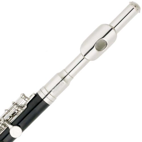 Mendini MPO-EN Black Resin Key of C Piccolo with Nickel Plated Keys with Case, Joint Grease, Cleaning Cloth and Rod, and Gloves - Thumbnail 2