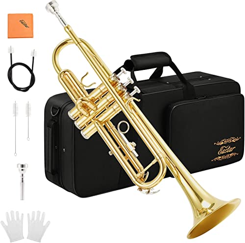 Eastar Bb Standard-Trompeten-Set für Anfänger, Messing-Trompeteninstrument für Studenten mit Hartschalenkoffer, Reinigungsset, 7C-Mundstück und Handschuhen, ETR