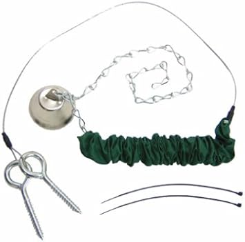 Songbird Essentials Gold Crest Sesqungee Squngee Squirrel Feeder