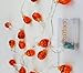 Velice Battery Operated LED Fairy String Lights 3D Pumpkin 20 LED Lights Halloween Christmas Decoration Lights (Pumpkin Light)