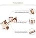 JOERICA 4 Pairs Heart Stainless Steel Stud Earrings for Women Star Earrings